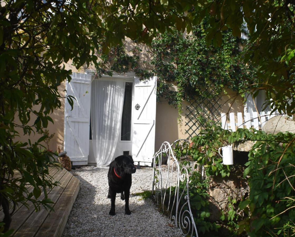 Bed and Breakfast L'Occitania Chambre D'Hotes Puivert Zewnętrze zdjęcie